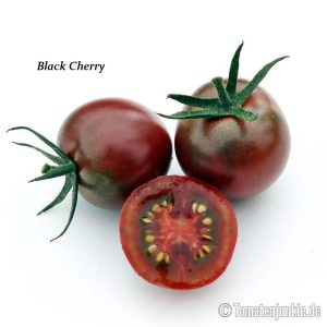 Black Cherry