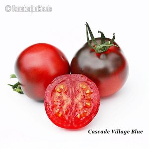 Cascade Village Blue