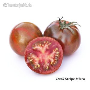 Dark Stripe Micro