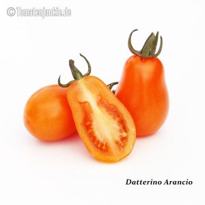 Datterino Arancio