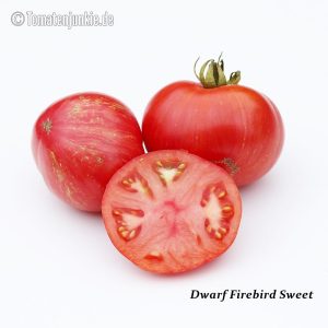 Dwarf Firebird Sweet