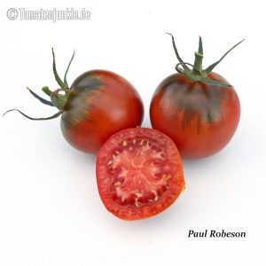 Paul Robeson Salattomate