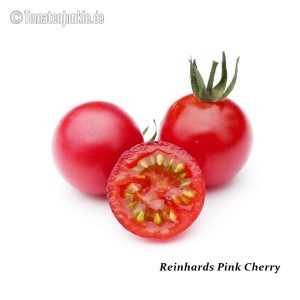Reinhards Pink Cherry
